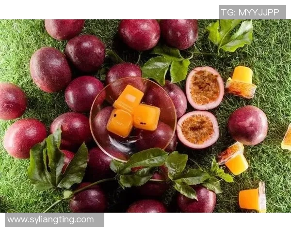 探索干足球果的营养价值与健康益处，助力运动员提升表现与恢复能力