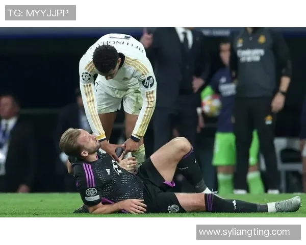 波比足球下载助你轻松掌握足球技巧畅享精彩赛事体验